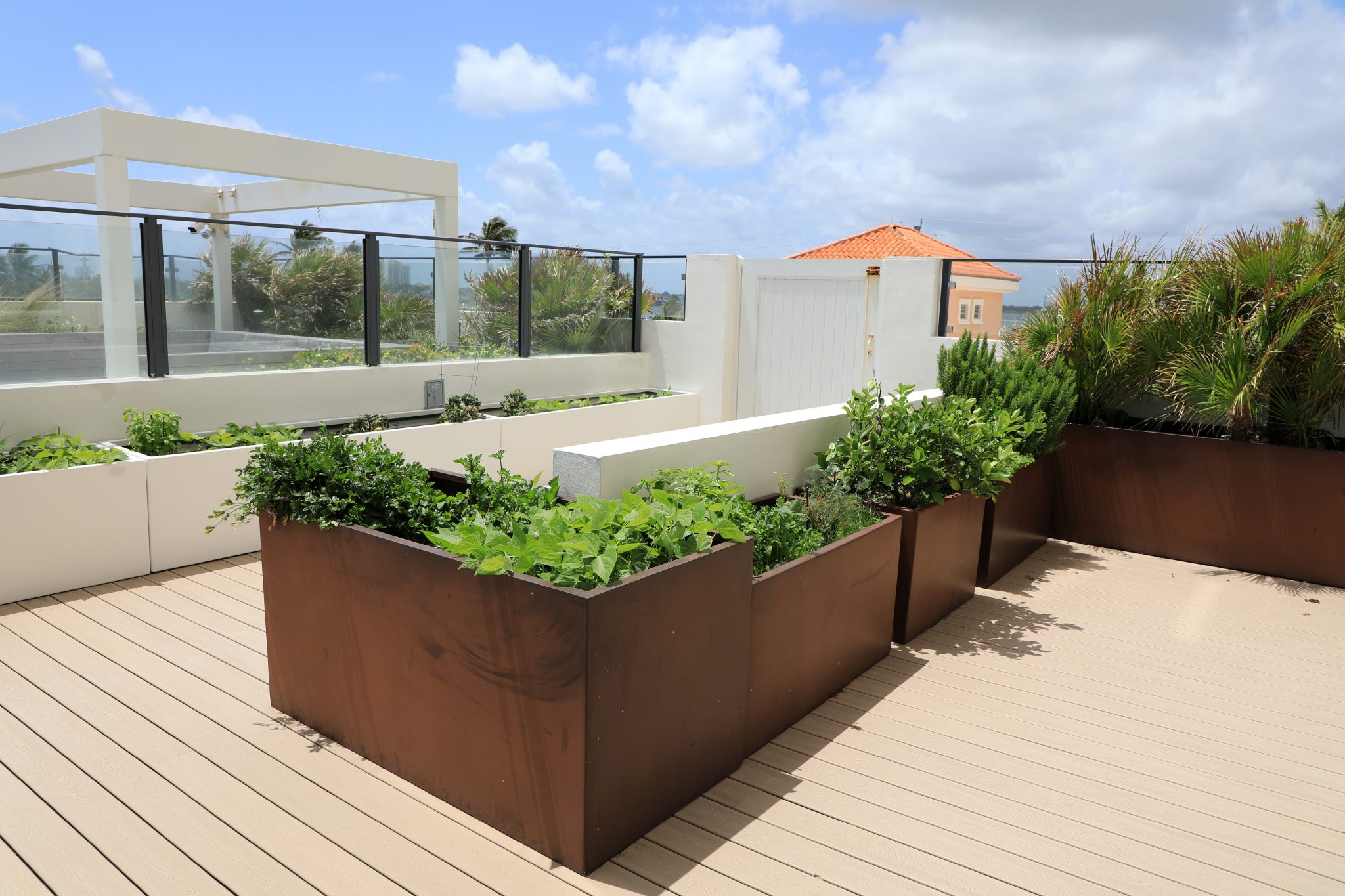 Bronze colour commercial planters with vegetables and herbs