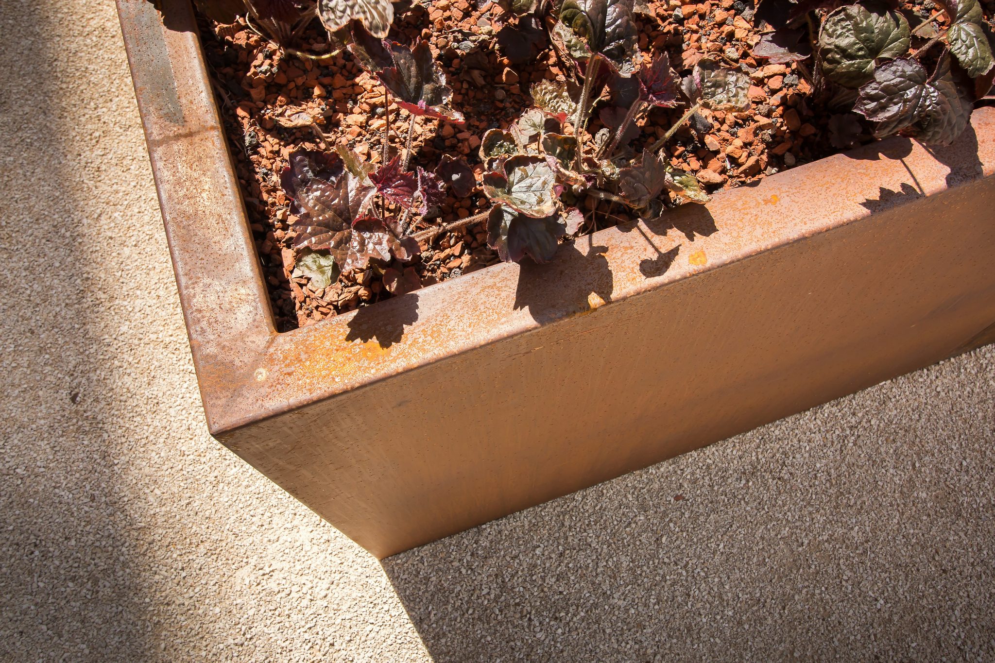 Rusty corten planter with plants